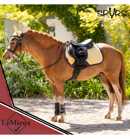 LE MIEUX MINI SADDLE CLOTH