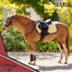 LE MIEUX MINI SADDLE CLOTH