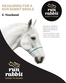RUN RABBIT CLASSIC PADDED NOSEBAND 