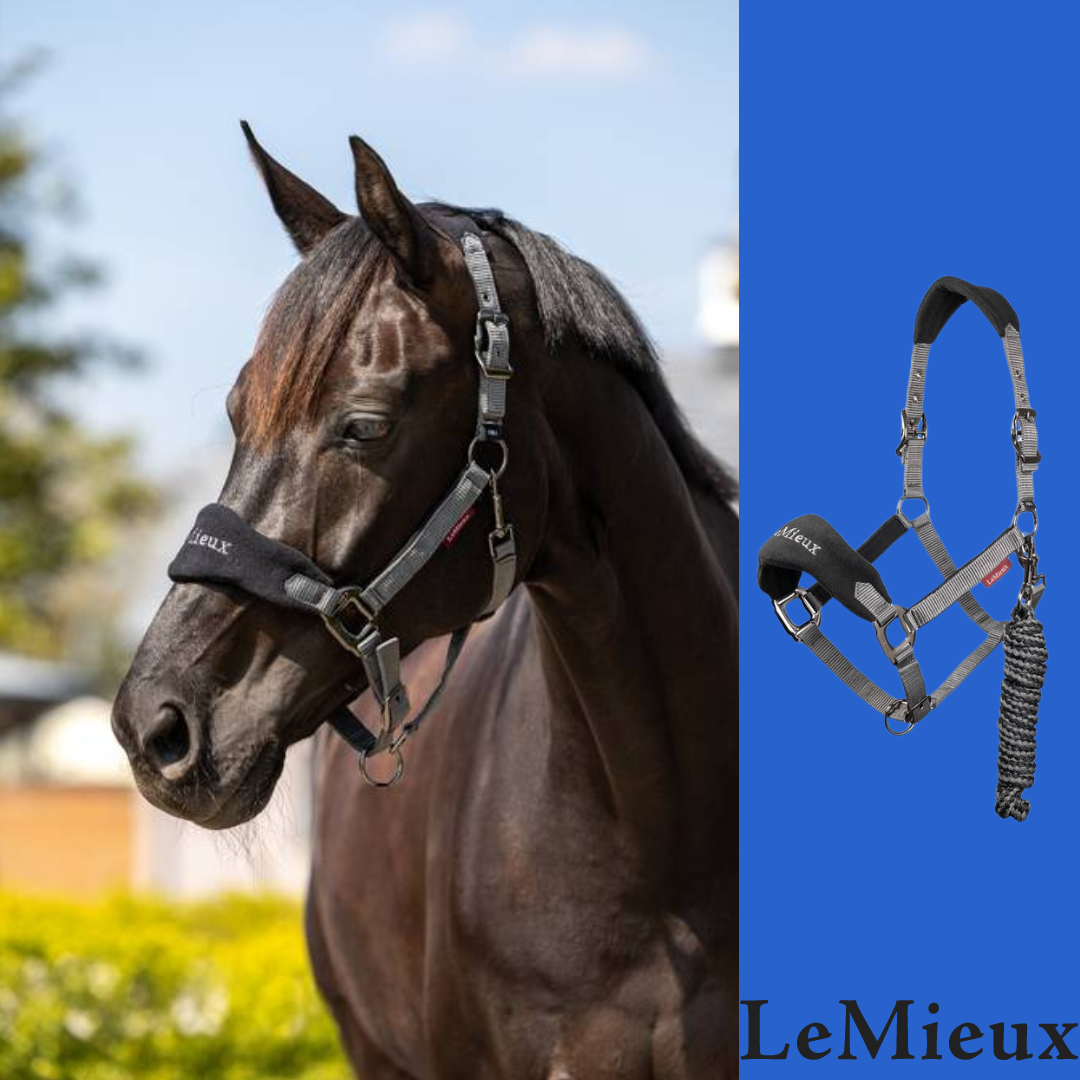 Le Mieux Vogue Fleece Halter And Lead Synthetic Headcollars Le Mieux Le Mieux Vogue Fleece Halter And Lead Synthetic Headcollars Le Mieux