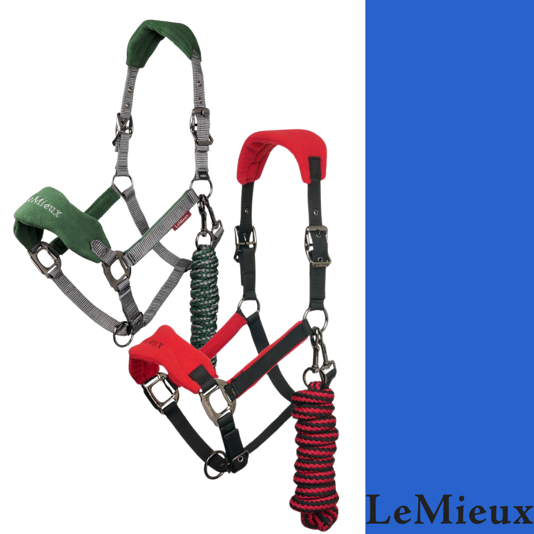 Le Mieux Vogue Fleece Halter And Lead Halters And Leads Le Mieux Le Mieux Vogue Fleece Halter And Lead Halters And Leads Le Mieux