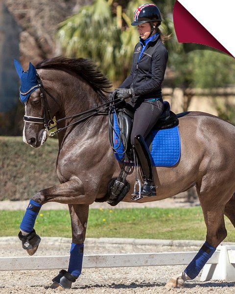 Le Mieux Dressage Cotton Square Saddle Cloth Saddles Accessories Saddle Cloths Spurs Le Mieux Le Mieux Dressage Cotton Square Saddle Cloth Saddles Accessories Saddle Cloths Spurs Le Mieux