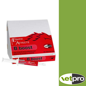 B-BOOST PASTE-veterinary-Spurs
