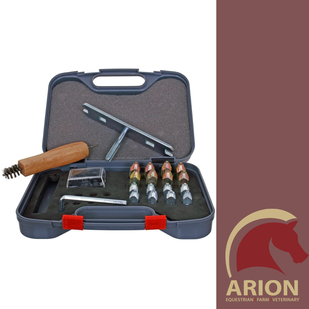 EQUISTAR HORSE SHOE STUD SET BrandsArion Spurs ARION