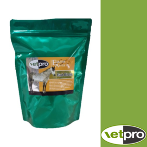 VETPRO GUT BIOTIC-supplements & treats-Spurs