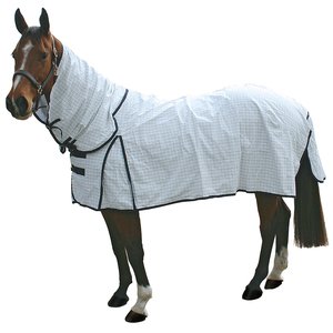 CAVALLINO OXFORD 300GM SUMMER COMBO-apparel - horse-Spurs