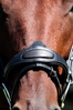 EVENTOR SNAFFLE CROWN BRIDLE