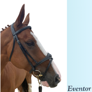 EVENTOR SNAFFLE CROWN BRIDLE-bridles & bits-Spurs