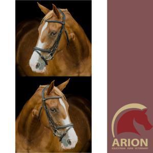 PLATNIUM ANATOMICAL FANCY STITCH  BRIDLE-bridles & bits-Spurs