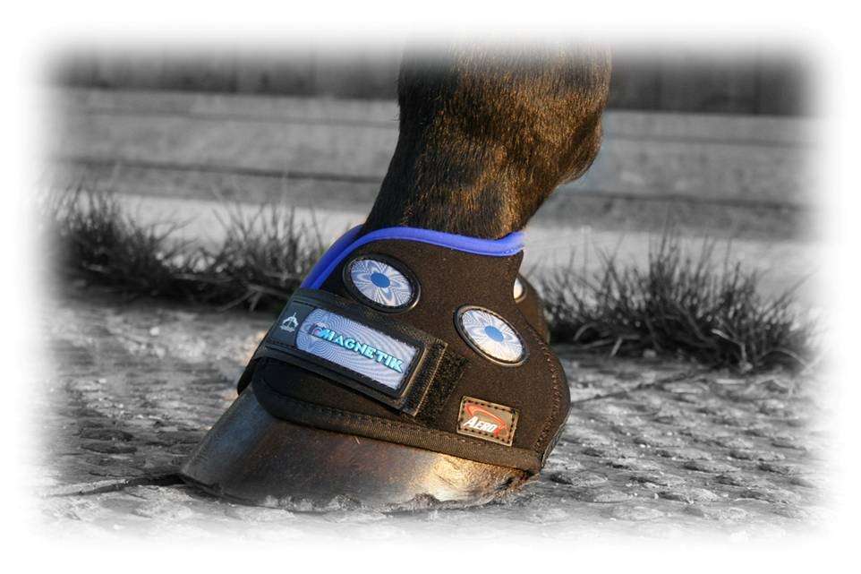 VEREDUS HOOF BOOT VERE Stable and Travel
