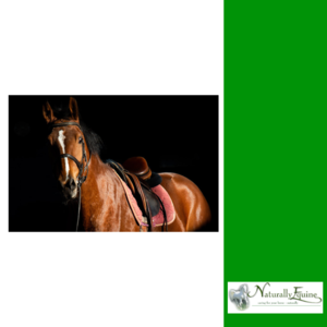 NATURALLY EQUINE CONDITIONER MIX -supplements & treats-Spurs