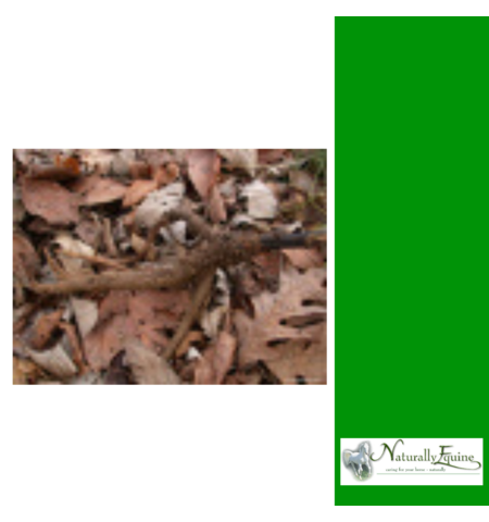  NATURALLY EQUINE DERMAHERB