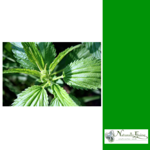 NATURALLY EQUINE NETTLE-supplements & treats-Spurs