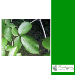 NATURALLY EQUINE SLIPPERY ELM POWDER-supplements & treats-Spurs