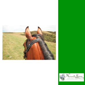 NATURALLY EQUINE TOP TO TOE-supplements & treats-Spurs