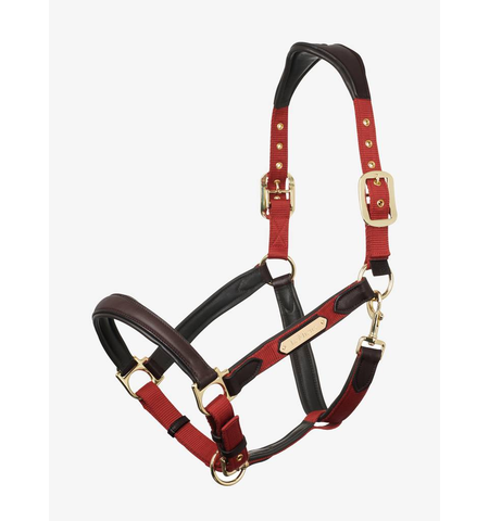 LE MIEUX HEADCOLLAR CAPELLA