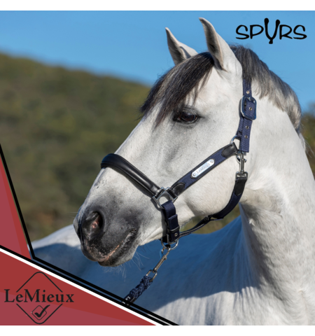 Le Mieux Capella Headcollar