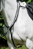 Cavallino Breastplate martingale 3 point
