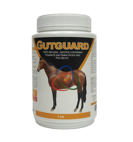 CAMBRIDGE GRAINS GUTGUARD 1KG 