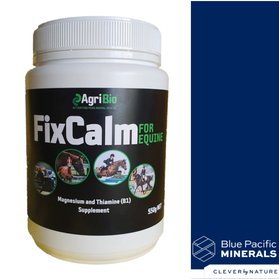 FIXCALM FOR HORSES Feed & SupplementsSupplements Spurs AGRIBIO