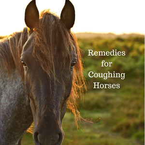 NATURALLY EQUINE COUGH AND COLD-supplements & treats-Spurs