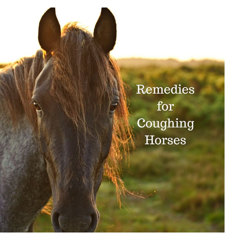 Naturally Equine NE Cough and Cold