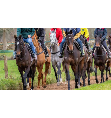 Naturally Equine Sues Joint Brew
