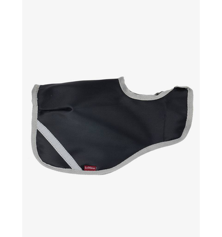 LE MIEUX TOY PONY EXERCISE SHEET