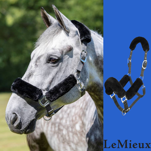 LE MIEUX COMFORT HALTER-apparel - horse-Spurs